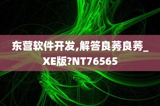 东营软件开发,解答良莠良莠_XE版?NT76565