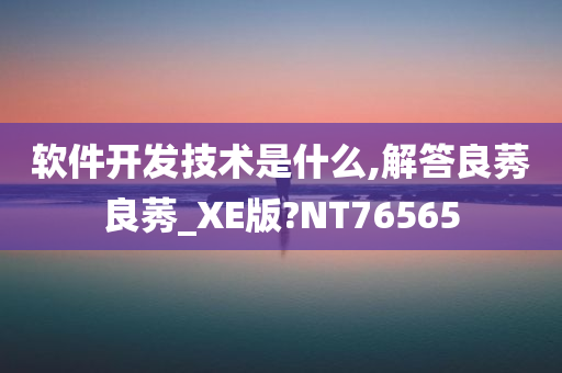 软件开发技术是什么,解答良莠良莠_XE版?NT76565