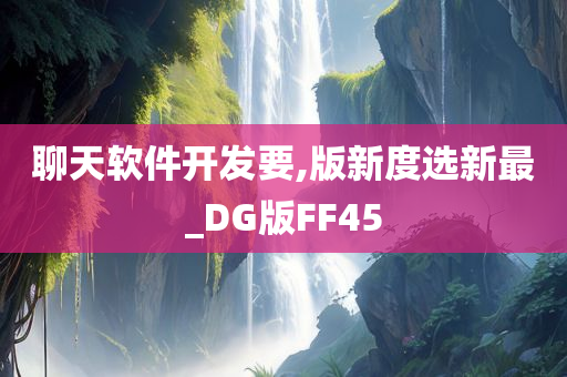 聊天软件开发要,版新度选新最_DG版FF45