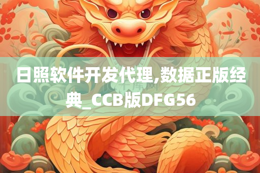 日照软件开发代理,数据正版经典_CCB版DFG56