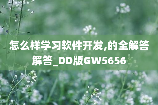 怎么样学习软件开发,的全解答解答_DD版GW5656