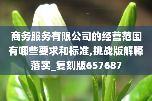 商务服务有限公司的经营范围有哪些要求和标准,挑战版解释落实_复刻版657687