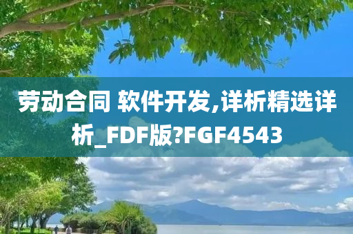 劳动合同 软件开发,详析精选详析_FDF版?FGF4543