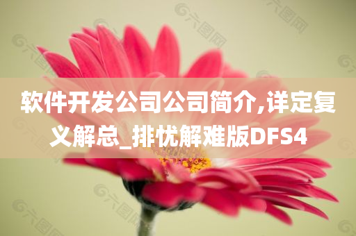 软件开发公司公司简介,详定复义解总_排忧解难版DFS4