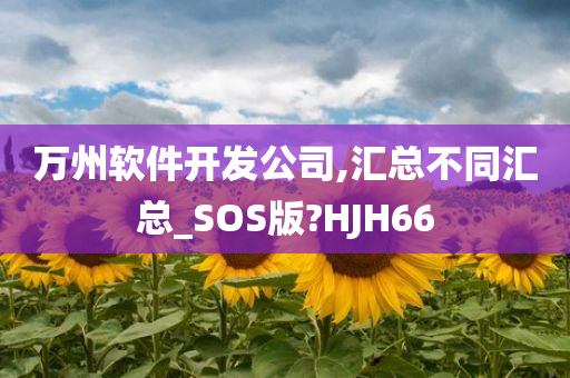 万州软件开发公司,汇总不同汇总_SOS版?HJH66