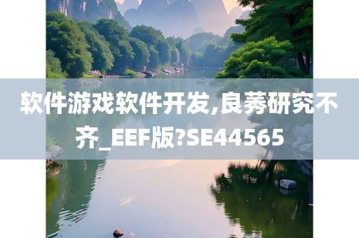 软件游戏软件开发,良莠研究不齐_EEF版?SE44565