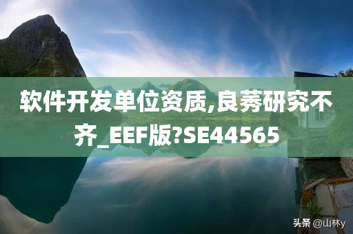 软件开发单位资质,良莠研究不齐_EEF版?SE44565