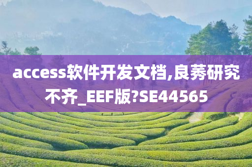 access软件开发文档,良莠研究不齐_EEF版?SE44565