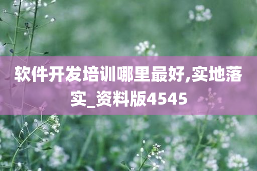 软件开发培训哪里最好,实地落实_资料版4545