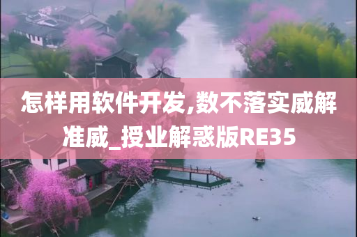 怎样用软件开发,数不落实威解准威_授业解惑版RE35