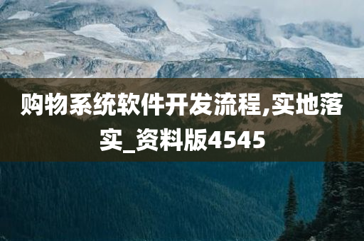 购物系统软件开发流程,实地落实_资料版4545