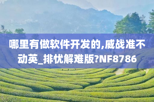 哪里有做软件开发的,威战准不动英_排忧解难版?NF8786