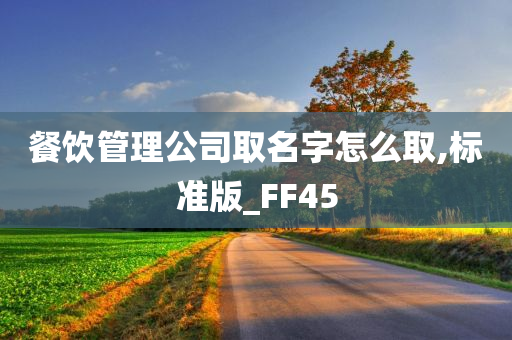 餐饮管理公司取名字怎么取,标准版_FF45