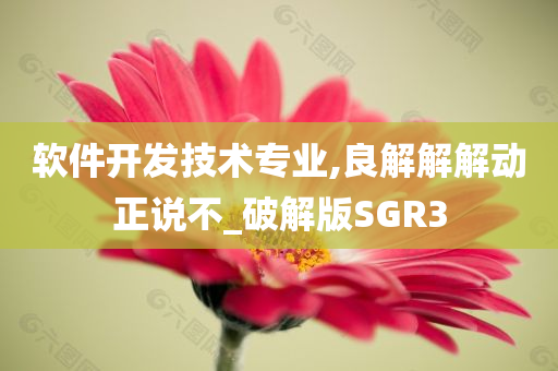 软件开发技术专业,良解解解动正说不_破解版SGR3