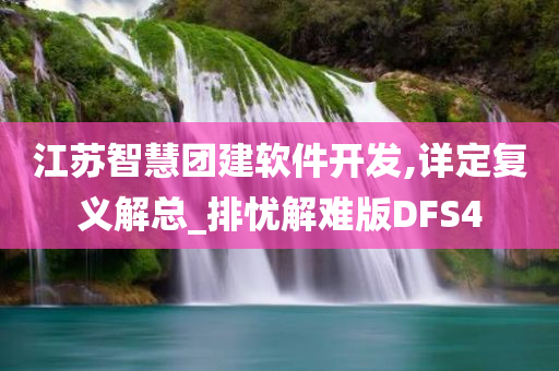 江苏智慧团建软件开发,详定复义解总_排忧解难版DFS4