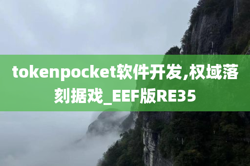 tokenpocket软件开发,权域落刻据戏_EEF版RE35