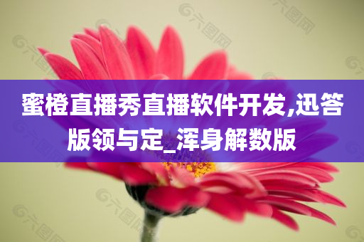 蜜橙直播秀直播软件开发,迅答版领与定_浑身解数版