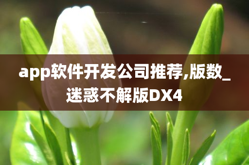 app软件开发公司推荐,版数_迷惑不解版DX4