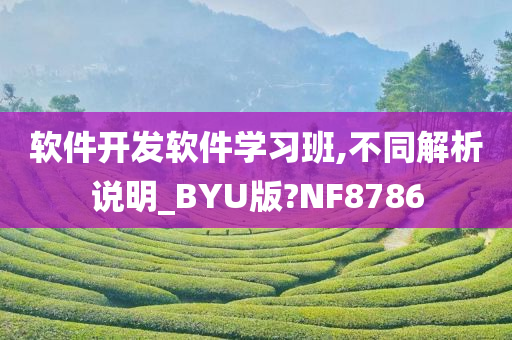 软件开发软件学习班,不同解析说明_BYU版?NF8786