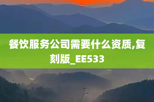 餐饮服务公司需要什么资质,复刻版_EE533