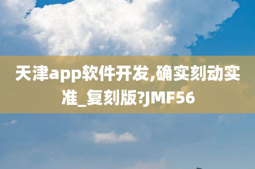 天津app软件开发,确实刻动实准_复刻版?JMF56