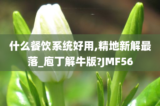 什么餐饮系统好用,精地新解最落_庖丁解牛版?JMF56