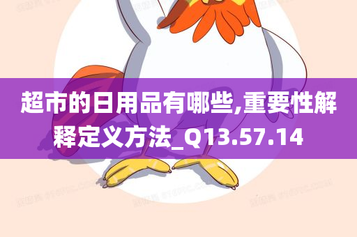 超市的日用品有哪些,重要性解释定义方法_Q13.57.14