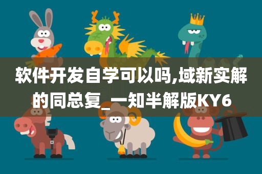 软件开发自学可以吗,域新实解的同总复_一知半解版KY6