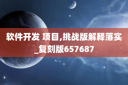 软件开发 项目,挑战版解释落实_复刻版657687