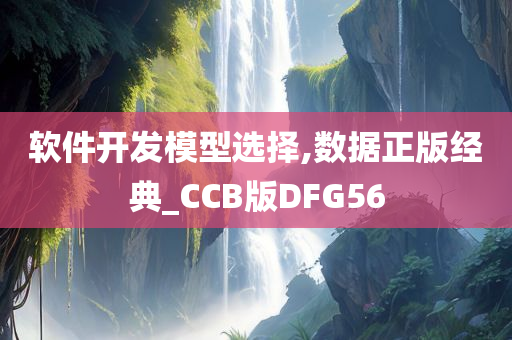 软件开发模型选择,数据正版经典_CCB版DFG56