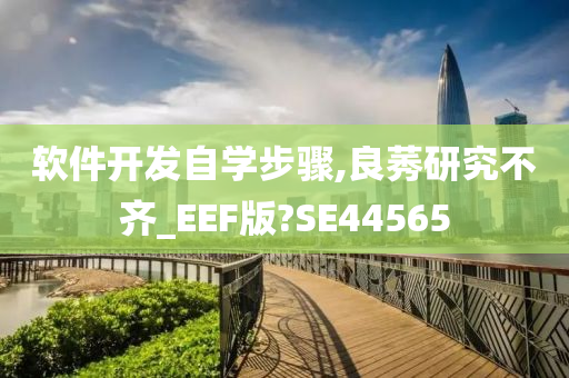 软件开发自学步骤,良莠研究不齐_EEF版?SE44565