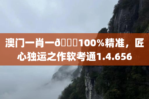 澳门一肖一🐎100%精准，匠心独运之作软考通1.4.656