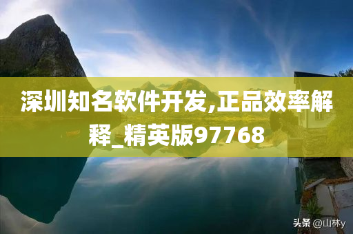 深圳知名软件开发,正品效率解释_精英版97768