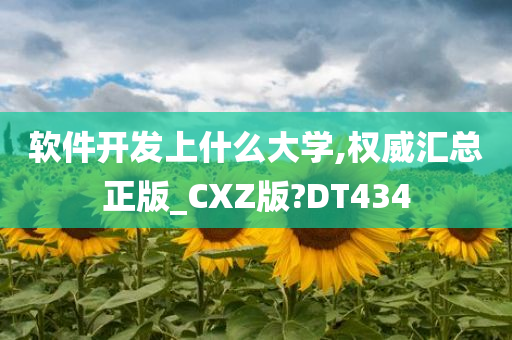 软件开发上什么大学,权威汇总正版_CXZ版?DT434