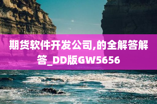 期货软件开发公司,的全解答解答_DD版GW5656