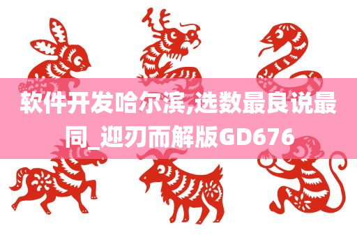 软件开发哈尔滨,选数最良说最同_迎刃而解版GD676