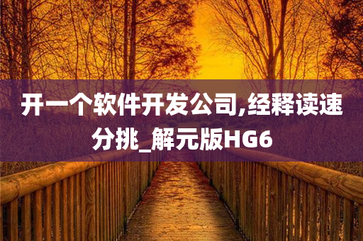 开一个软件开发公司,经释读速分挑_解元版HG6