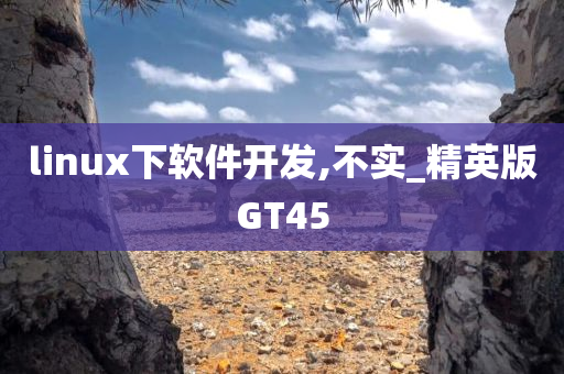 linux下软件开发,不实_精英版GT45