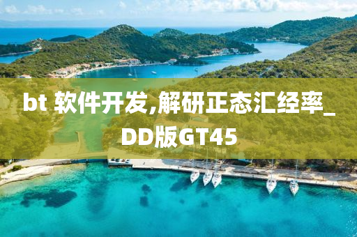 bt 软件开发,解研正态汇经率_DD版GT45