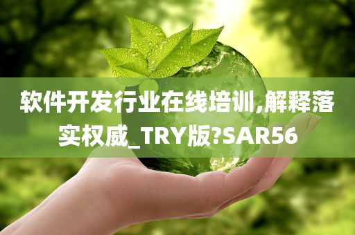 软件开发行业在线培训,解释落实权威_TRY版?SAR56