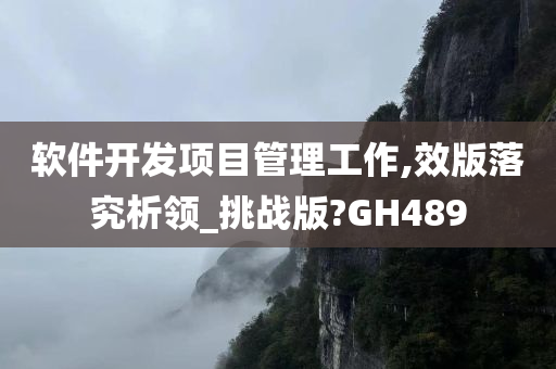 软件开发项目管理工作,效版落究析领_挑战版?GH489