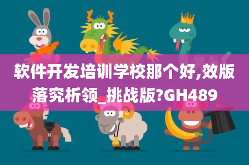 软件开发培训学校那个好,效版落究析领_挑战版?GH489