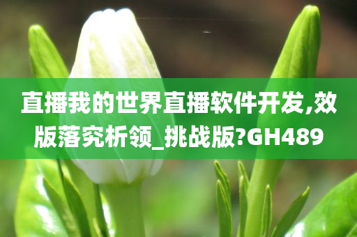 直播我的世界直播软件开发,效版落究析领_挑战版?GH489