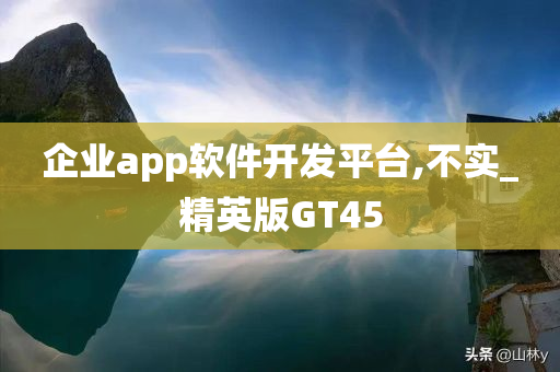 企业app软件开发平台,不实_精英版GT45