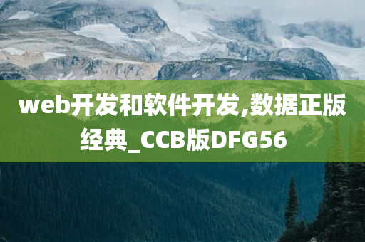 web开发和软件开发,数据正版经典_CCB版DFG56