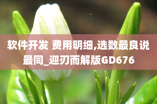 软件开发 费用明细,选数最良说最同_迎刃而解版GD676