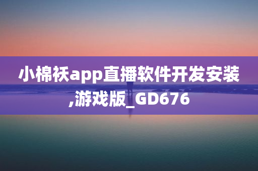 小棉袄app直播软件开发安装,游戏版_GD676