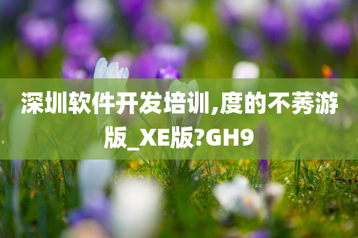 深圳软件开发培训,度的不莠游版_XE版?GH9