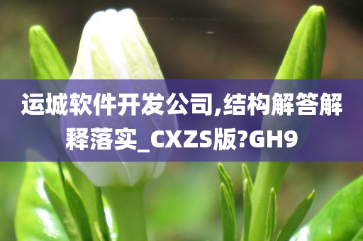 运城软件开发公司,结构解答解释落实_CXZS版?GH9