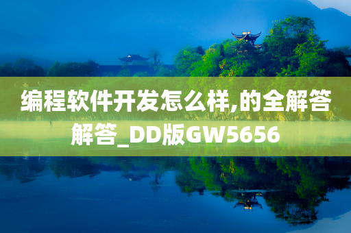 编程软件开发怎么样,的全解答解答_DD版GW5656